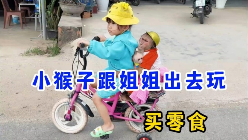 中医称甲亢哥没有甲亢,新澳门特马开将结果,最新正品解答落实_正式版V1.33